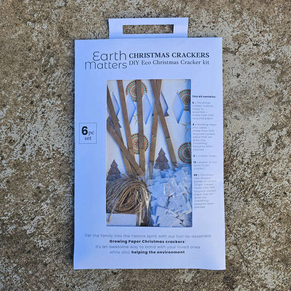Christmas Cracker DIY Pack (6)