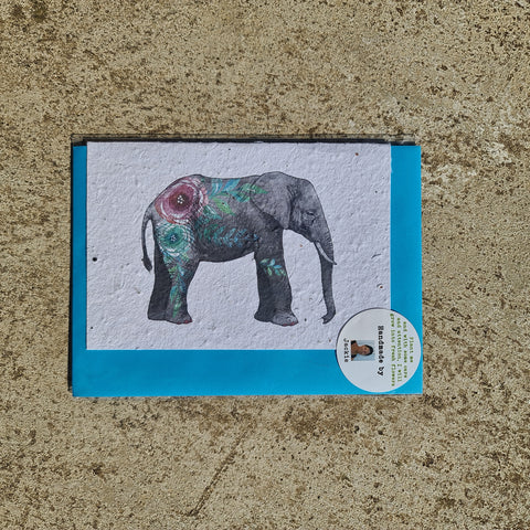 Elephant - Growing Paper Greeting Card