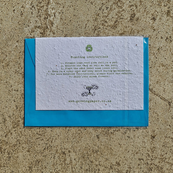 Elephant - Growing Paper Greeting Card