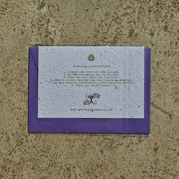 Rhino - Growing Paper Greeting Card