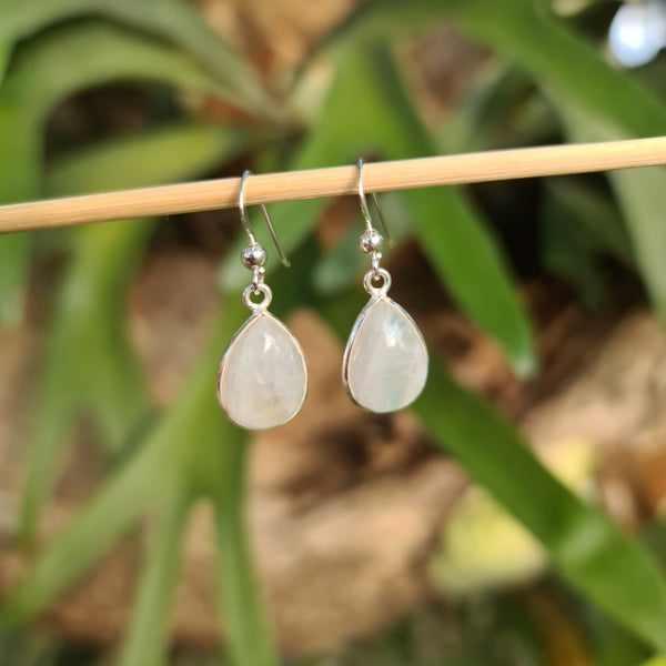 Sterling Silver Teardrop Rainbow Moonstone Hook Earrings