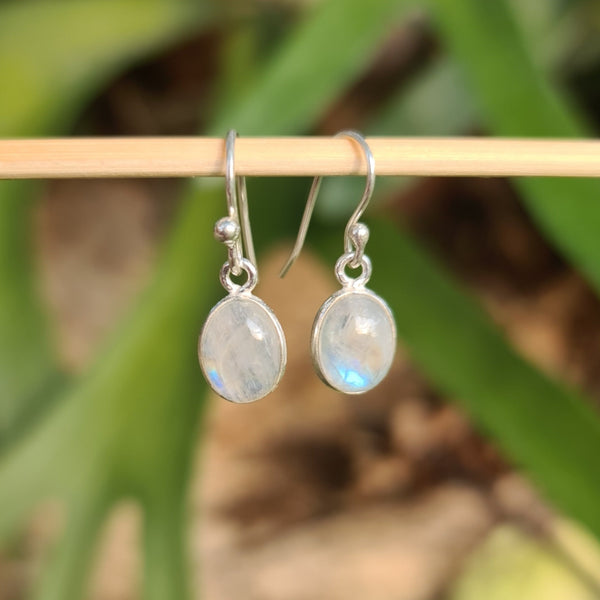 Sterling Silver Oval Rainbow Moonstone Hook Earrings