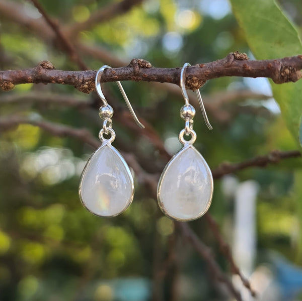 Sterling Silver Teardrop Rainbow Moonstone Hook Earrings
