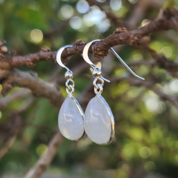 Sterling Silver Teardrop Rainbow Moonstone Hook Earrings