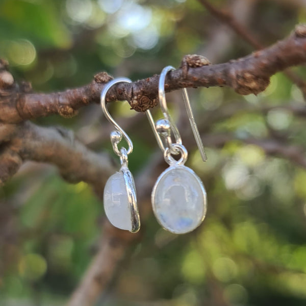 Sterling Silver Oval Rainbow Moonstone Hook Earrings