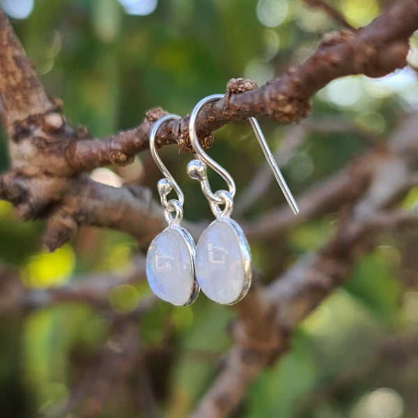 Sterling Silver Oval Rainbow Moonstone Hook Earrings