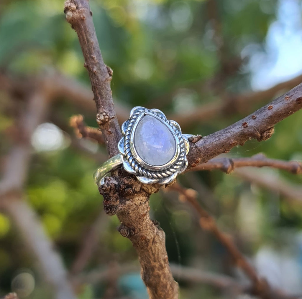Sterling Silver Oxidized Teardrop Ring with Rainbow Moonstone