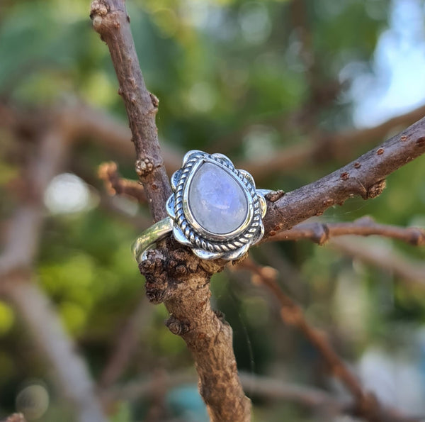 Sterling Silver Oxidized Teardrop Ring with Rainbow Moonstone
