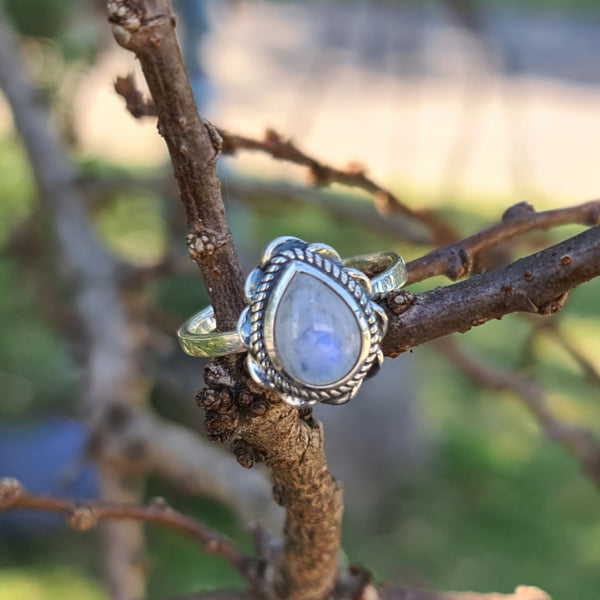 Sterling Silver Oxidized Teardrop Ring with Rainbow Moonstone