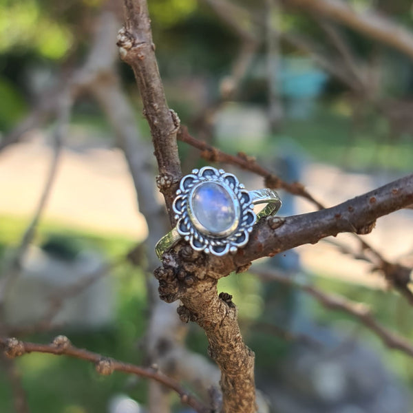 Sterling Silver Oxidized Ring with Rainbow Moonstone