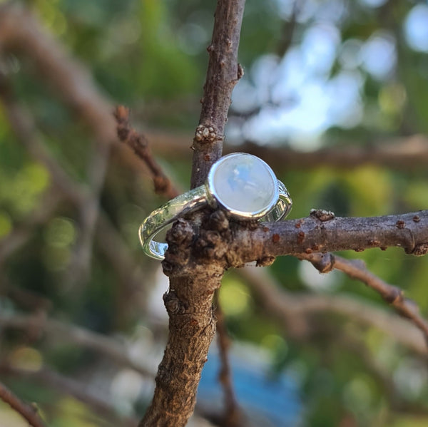 Sterling Silver Ring with Round Rainbow Moonstone