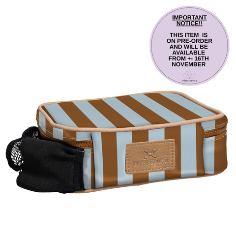 Snack Pack | Laminated Fabric with Genuine Leather - Coastal Stripe - Blue