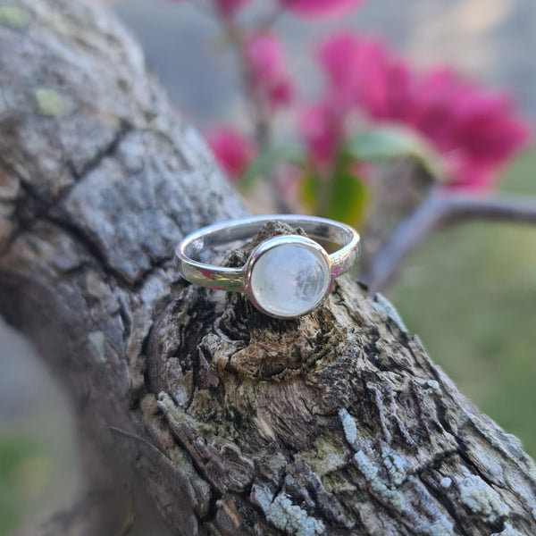 Sterling Silver Ring with Round Rainbow Moonstone
