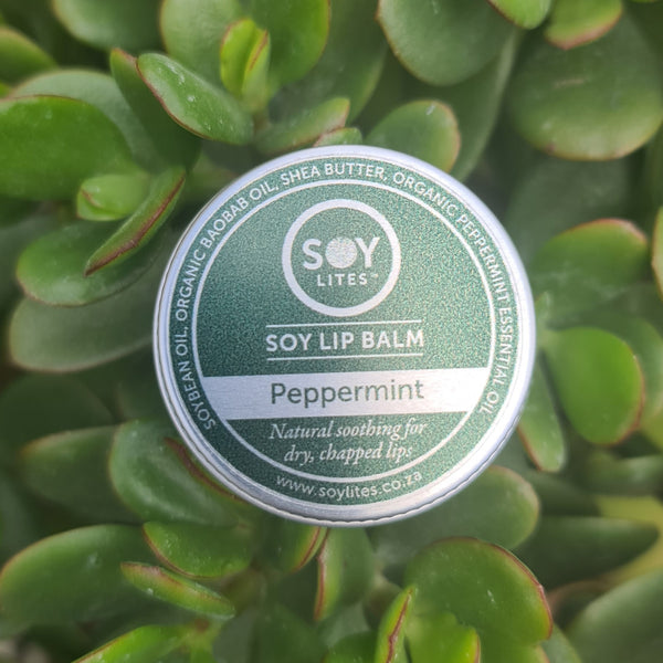 Soy Lip Balm - Peppermint