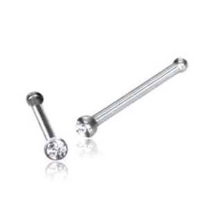 Stainless Steel Nose Pin